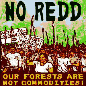 NO REDD protesters