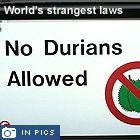 The world's strangest laws