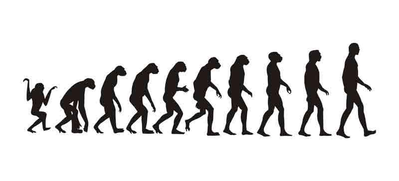 File:Evolution.jpg