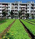 #544 - Living Arrangements Beyond Nation States (US Cities, Past, Present and Future)